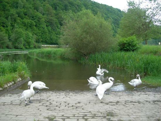 Вілла Les Demoiselles De La Semois Poupehan Екстер'єр фото